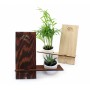 Support de téléphone en bois avec sa plante